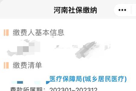 2023年宣城居民医保缴费时间
