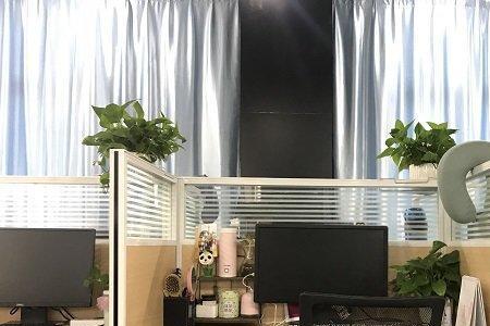 专职夜班是什么意思