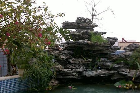 农村庭院建设一个鱼池是否可以