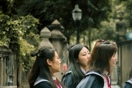 网剧《夏花》是什么内容