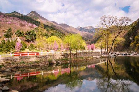 桃花浴泡多长时间最好