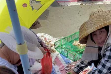 泉州开海有什么海鲜