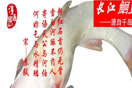 江团鱼为什么要用开水烫
