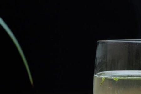丹露茶叶特点