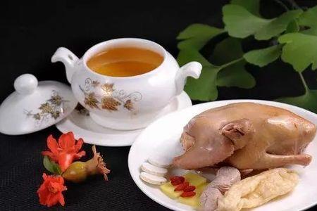 热鸽子炖什么好