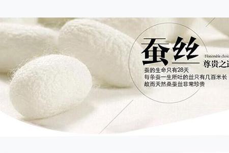 百家被桑蚕丝多少克