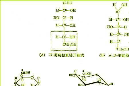 醛基为什么可以产生氢键
