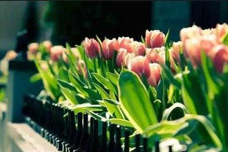 什么季节铁便宜