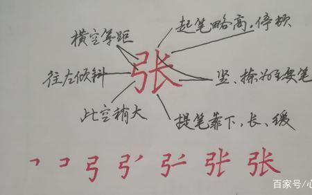 净的主笔
