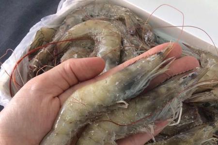 青虾和盐冻虾哪个好