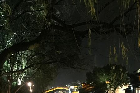 夜已阑珊是什么意思