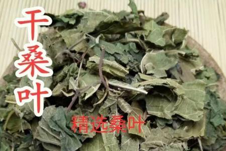霜桑叶储存方法