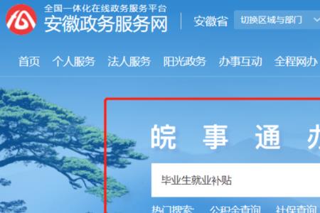 安徽阳光就业补贴怎么实名注册