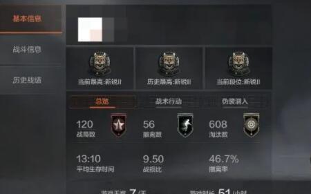 新锐段位什么意思