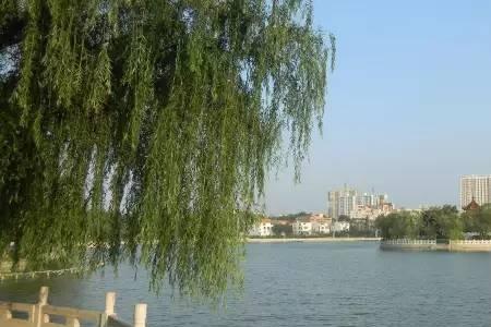 邯郸话顺头什么意思