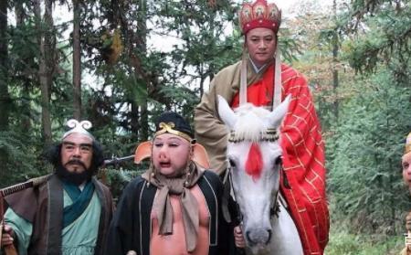 一点都不违和什么意思