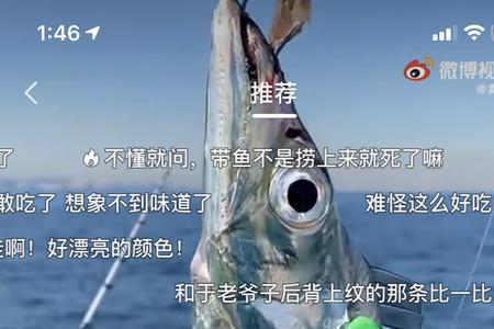 时刻吉文是吉祥物吗