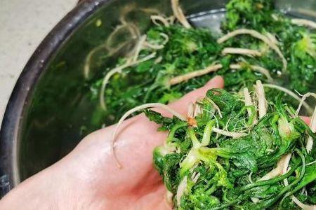 荠荠菜蘸酱用焯水吗