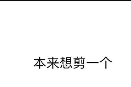 不剪头发了是什么梗