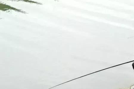 武汉中山湖可以钓鱼吗