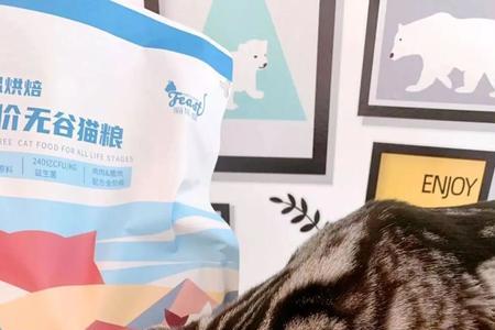 猫咪吃了全价猫粮还要吃别的吗