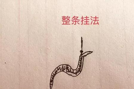 快速挂蚯蚓的正确方法