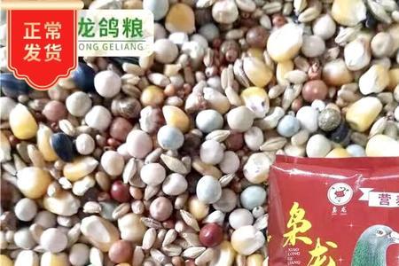 八哥鸟张嘴呼吸怎么办