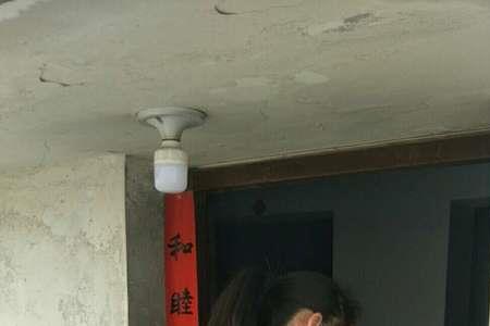 怎样买欣鑫君子兰
