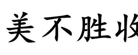 名什么什么胜成语