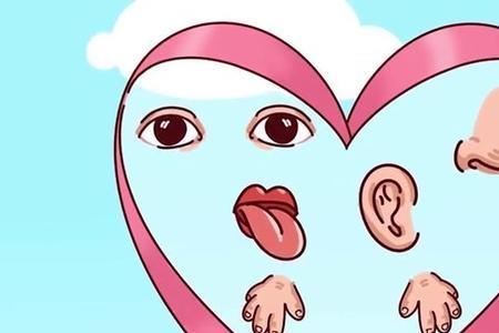 感觉适应与感觉对比有什么区别