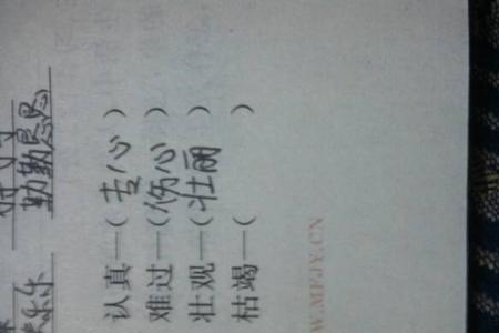 穷尽近义词