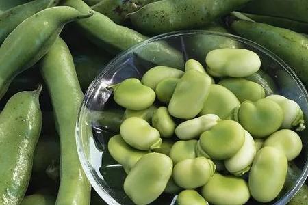 猫豆与蚕豆区别