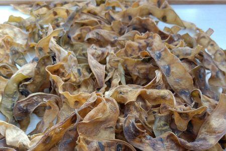 干洋扁豆怎么煮才能烂