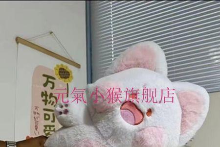 带翅膀的嘟嘟猫多少天才到