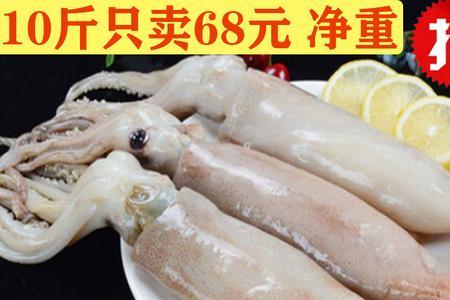 飞机可以带新鲜鱿鱼吗