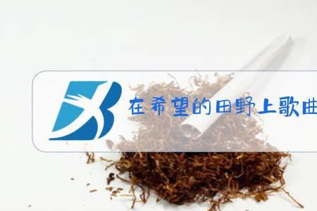 田野上最好听的十首歌
