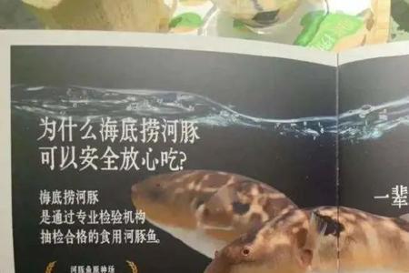 河豚直播安全证书异常怎么回事