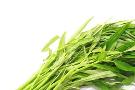 青通菜是不是空心菜