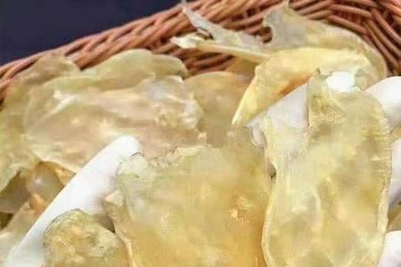 为什么鱼泡没鱼胶好吃