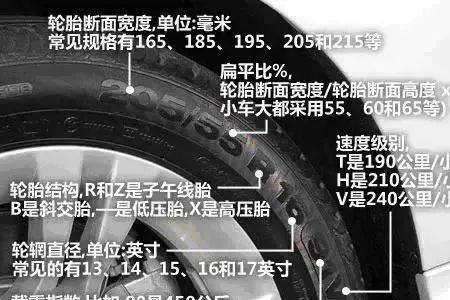 轮胎y和w什么意思