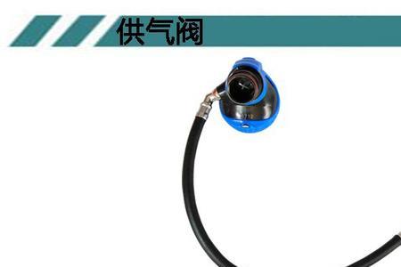呼吸器按结构可分为什么两部分