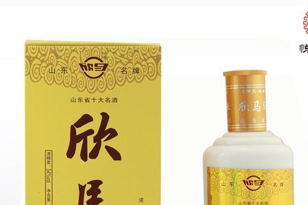 山东东营马场酒的故事
