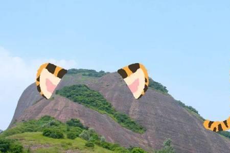 大虎山有螳螂吗