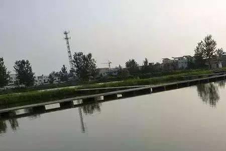 10亩养鱼一年能挣多少