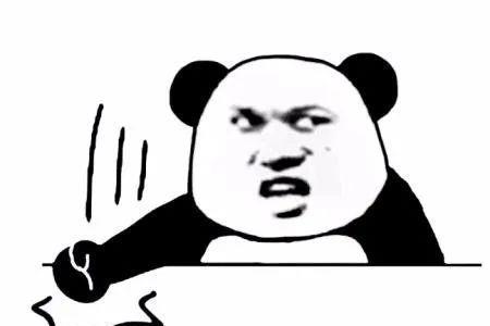 你不用是什么意思