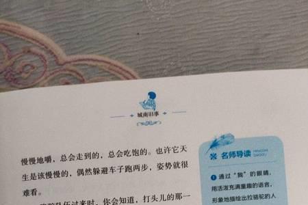 比喻句怎么在旁边写旁批
