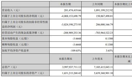 担保公司亏损怎么办