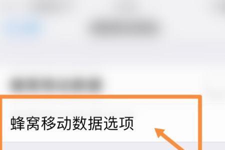 iPhone手机蜂窝数据关闭了怎么解决