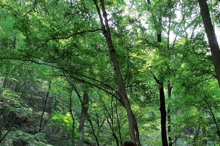 夏天去重渡沟穿什么鞋子
