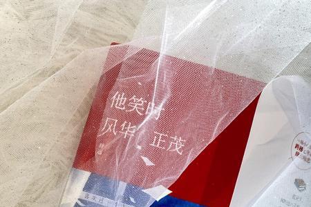 他笑时风华正茂男主是初吻吗